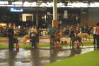 Chinzei - World Dog Show 2011